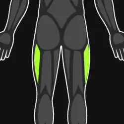 Abductors