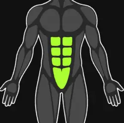 Abs
