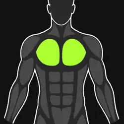 Chest