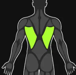 Lats