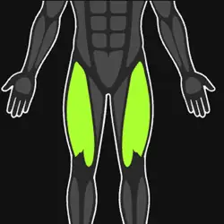 Quads