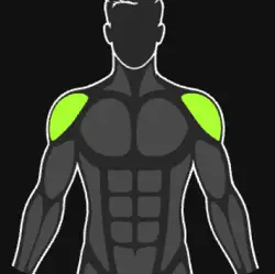 Shoulders