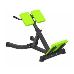 Back Extension Bench