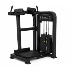 Standing Calf Raise Machine