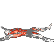 Dumbbell Single-Arm Starfish Crunch (Beginner)