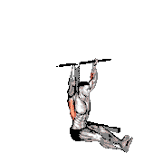 Seated Pull-Up