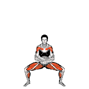 Deep Breathe Flaps Plyo Squat