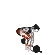 Deadlift