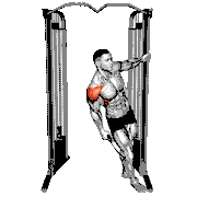 Cable Leaning Lateral Raise
