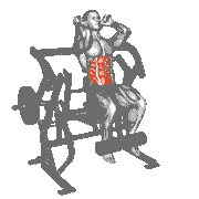 Lever Seated Leg Raise Crunch (Plate Loaded)