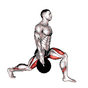Weighted Stretch Lunge demonstration