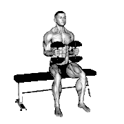Dumbbell Seated External Rotation