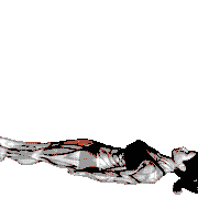 Lying Single Leg Raise