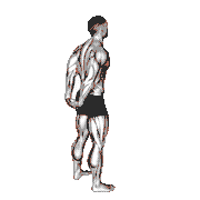 Standing Reverse Shoulder Stretch