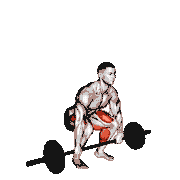 Barbell Clean Deadlift demonstration