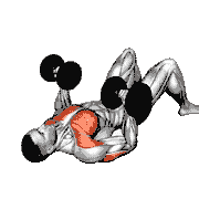 Dumbbell Reverse Press on Floor