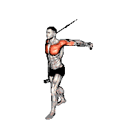 Band Alternate Low Chest Fly demonstration