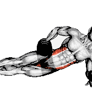 Dumbbell Side Bridge