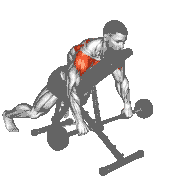 Barbell Incline Lying Rear Delt Raise