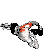 Kettlebell Lying on Floor Rear Delt Raise