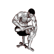Seated Piriformis Stretch