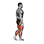 Hip Lunge
