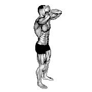 Front and Back Neck Stretch