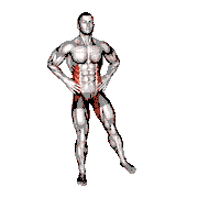 Standing Side Leg Raise demonstration