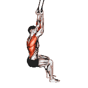 Band Fixed Back Underhand Pulldown demonstration