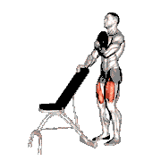 Weighted Sissy Squat demonstration
