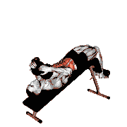 Dumbbell Decline Sit-Up