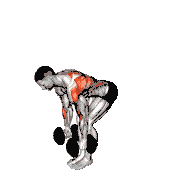 Dumbbell Bent-Over Row Against Wall