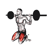 Barbell Squat (On Knees)