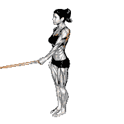 Resistance Band Standing Single Arm Lateral Shoulder Extension