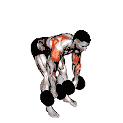 Dumbbell Bent-Over Face Pull