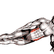 Side Plank
