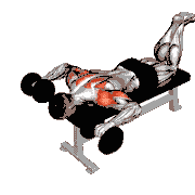 Dumbbell Face Down Lying Shoulder Press