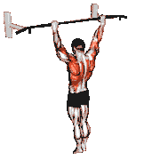 Archer Pull-Up demonstration