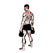 Kettlebell Shrug