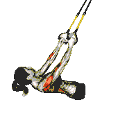 Suspender Inverted Row demonstration