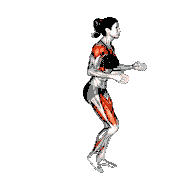 Reverse Lunge Quick Arms