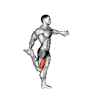 Standing Quadriceps Stretch demonstration