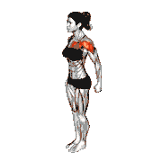 Resistance Band Standing Single Arm Shoulder Flexion