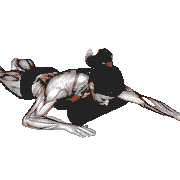 Roll Chest Lying on Floor