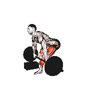Barbell Deadlift from Blocks demonstration
