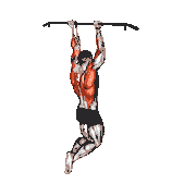 Reverse-Grip Pull-Up