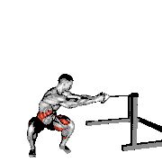 Band Squat Twist demonstration