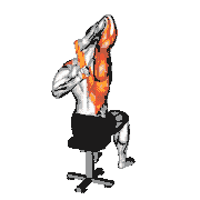 Resistance Band Shoulder Stretch Behind the Back