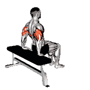 Bench Dip (Knees Bent)