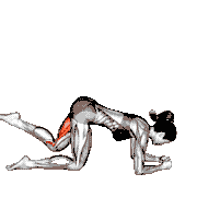 Basic to Cross Donkey Kick